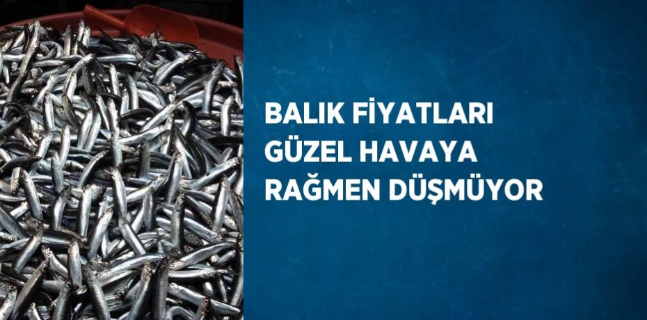 BALIK FİYATLARI GÜZEL HAVAYA RAĞMEN DÜŞMÜYOR