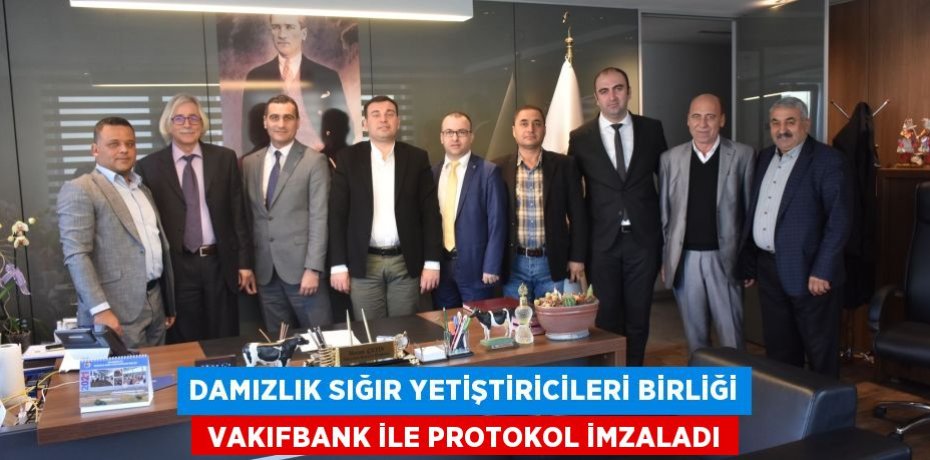 DAMIZLIK SIĞIR YETİŞTİRİCİLERİ BİRLİĞİ  VAKIFBANK İLE PROTOKOL İMZALADI