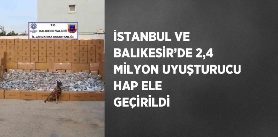 İSTANBUL VE BALIKESİR’DE 2,4 MİLYON UYUŞTURUCU HAP ELE GEÇİRİLDİ