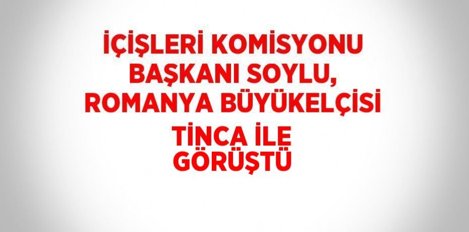 İÇİŞLERİ KOMİSYONU BAŞKANI SOYLU, ROMANYA BÜYÜKELÇİSİ TİNCA İLE GÖRÜŞTÜ