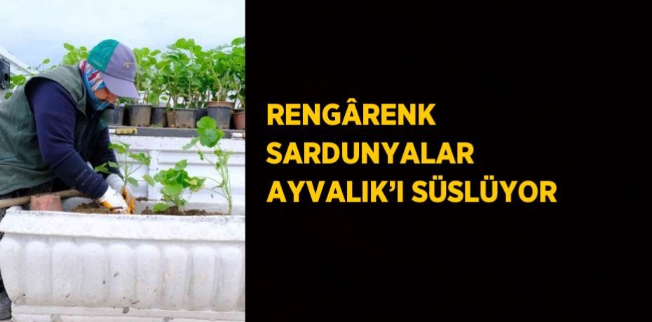 RENGÂRENK SARDUNYALAR AYVALIK’I SÜSLÜYOR