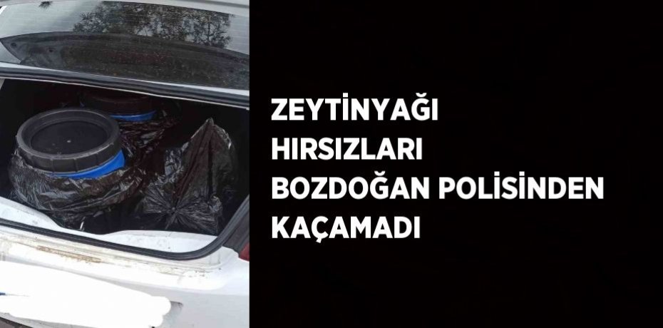 ZEYTİNYAĞI HIRSIZLARI BOZDOĞAN POLİSİNDEN KAÇAMADI
