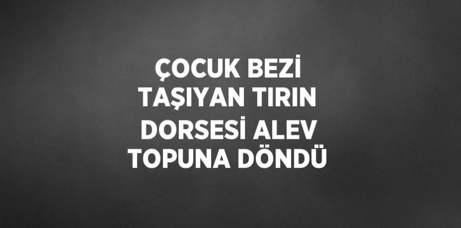 ÇOCUK BEZİ TAŞIYAN TIRIN DORSESİ ALEV TOPUNA DÖNDÜ
