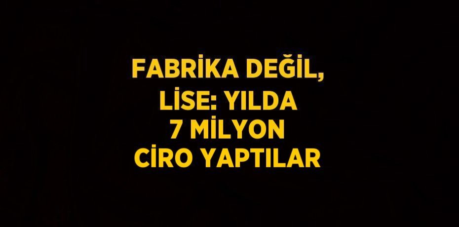 FABRİKA DEĞİL, LİSE: YILDA 7 MİLYON CİRO YAPTILAR