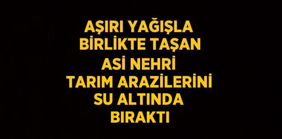 AŞIRI YAĞIŞLA BİRLİKTE TAŞAN ASİ NEHRİ TARIM ARAZİLERİNİ SU ALTINDA BIRAKTI