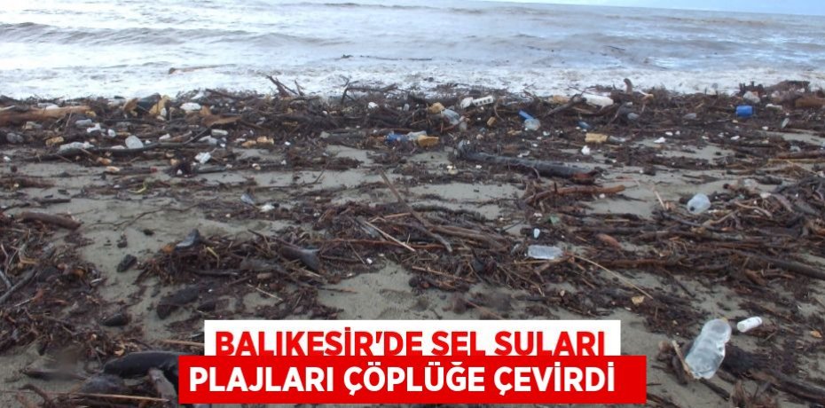 Balıkesir’de sel suları plajları çöplüğe çevirdi  