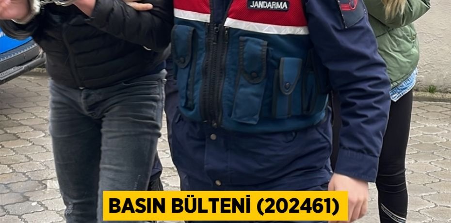 Basın Bülteni (202461)