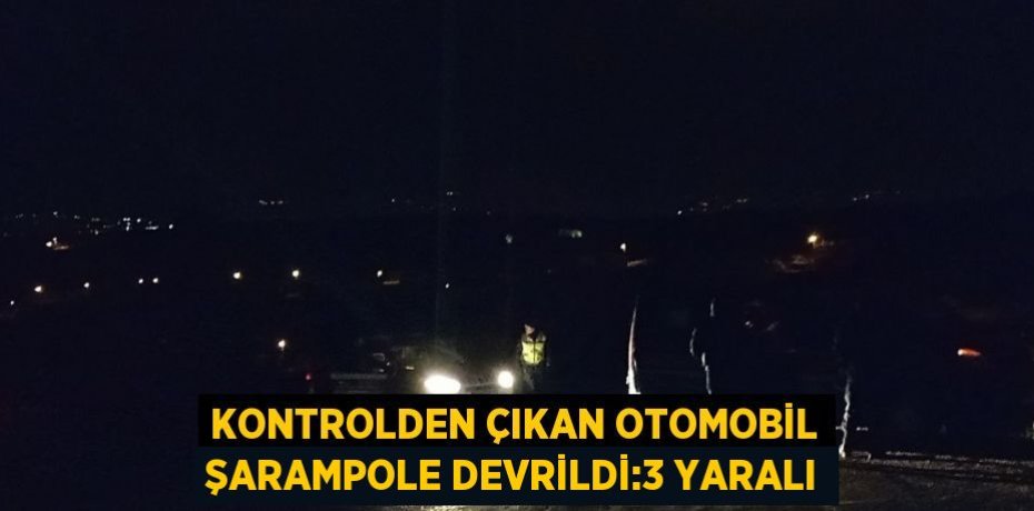 KONTROLDEN ÇIKAN OTOMOBİL ŞARAMPOLE DEVRİLDİ:3 YARALI