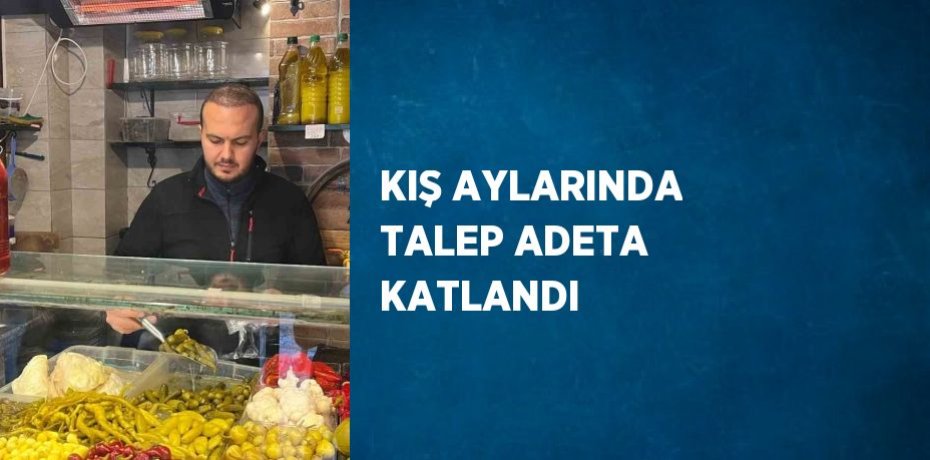 KIŞ AYLARINDA TALEP ADETA KATLANDI