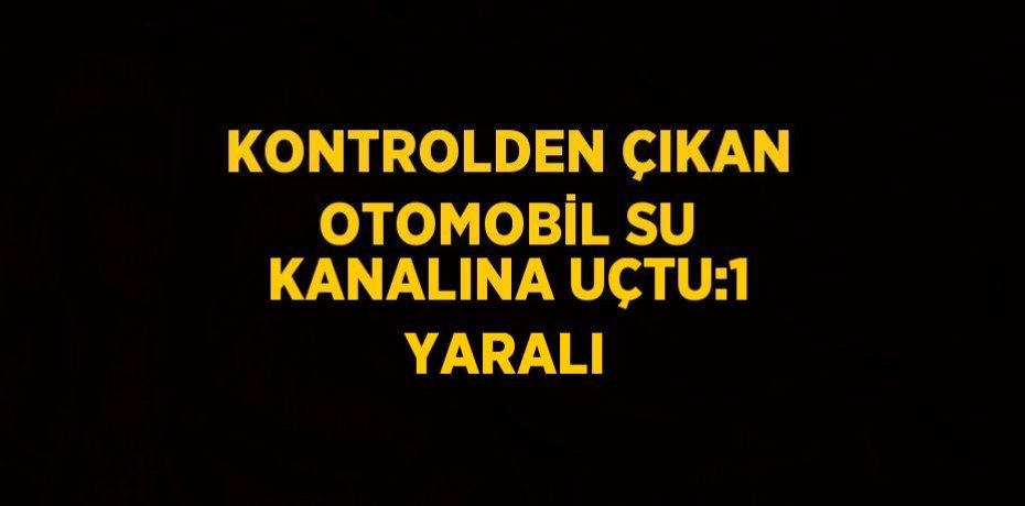 KONTROLDEN ÇIKAN OTOMOBİL SU KANALINA UÇTU:1 YARALI