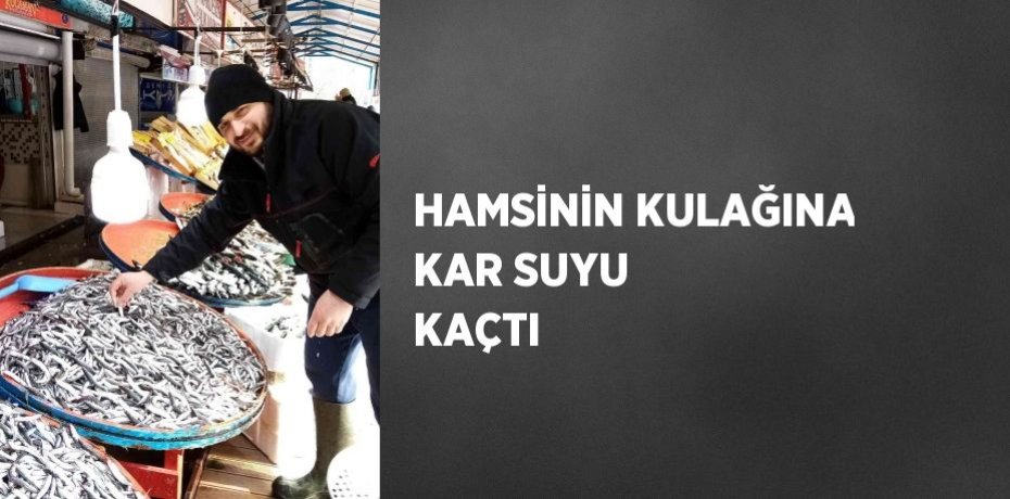 HAMSİNİN KULAĞINA KAR SUYU KAÇTI