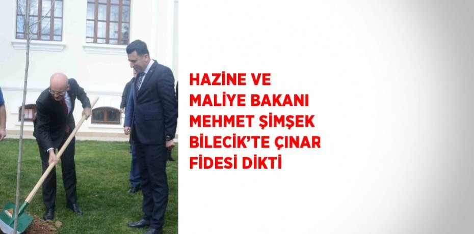 HAZİNE VE MALİYE BAKANI MEHMET ŞİMŞEK BİLECİK’TE ÇINAR FİDESİ DİKTİ