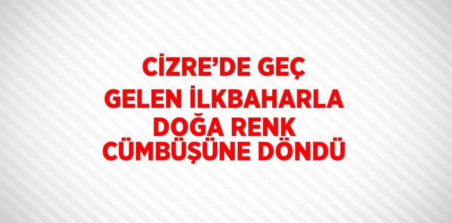 CİZRE’DE GEÇ GELEN İLKBAHARLA DOĞA RENK CÜMBÜŞÜNE DÖNDÜ