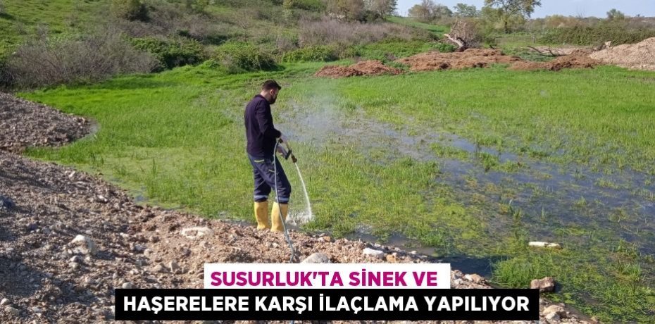 Susurluk'ta sinek ve haşerelere karşı ilaçlama yapılıyor