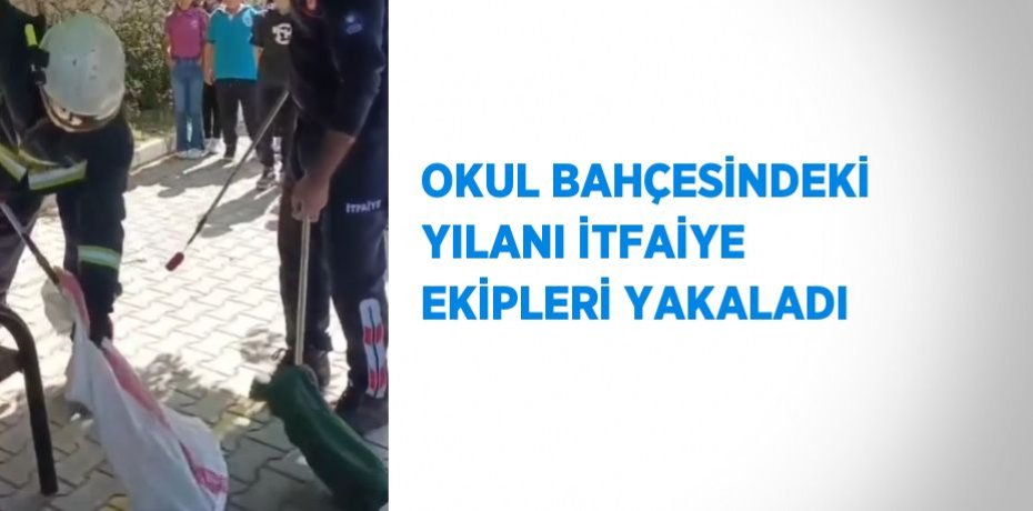 OKUL BAHÇESİNDEKİ YILANI İTFAİYE EKİPLERİ YAKALADI