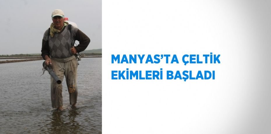 MANYAS’TA ÇELTİK EKİMLERİ BAŞLADI