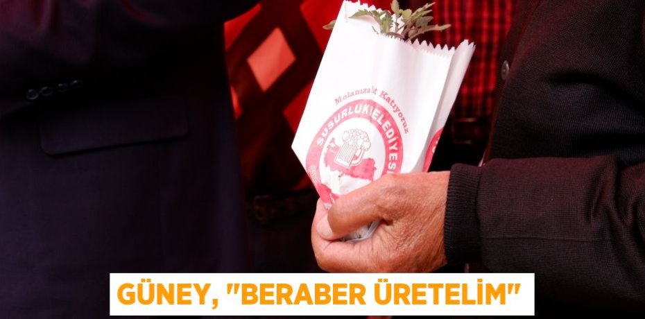 Güney, "Beraber üretelim"