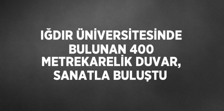 IĞDIR ÜNİVERSİTESİNDE BULUNAN 400 METREKARELİK DUVAR, SANATLA BULUŞTU