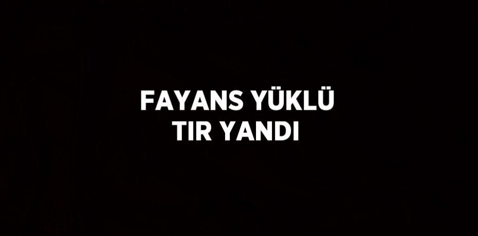 FAYANS YÜKLÜ TIR YANDI