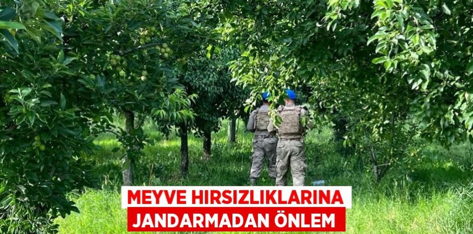 MEYVE HIRSIZLIKLARINA JANDARMADAN ÖNLEM
