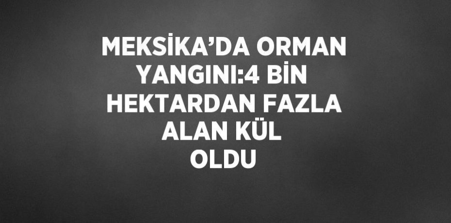 MEKSİKA’DA ORMAN YANGINI:4 BİN HEKTARDAN FAZLA ALAN KÜL OLDU
