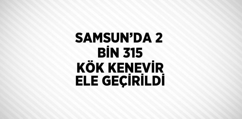 SAMSUN’DA 2 BİN 315 KÖK KENEVİR ELE GEÇİRİLDİ