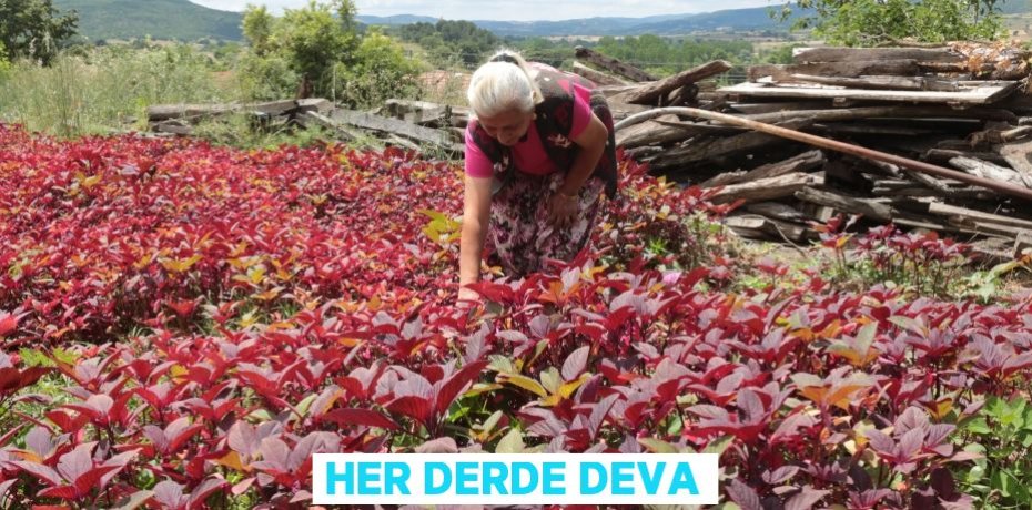 Her derde deva