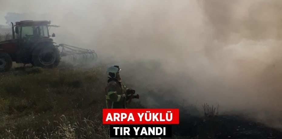 Arpa yüklü tır yandı