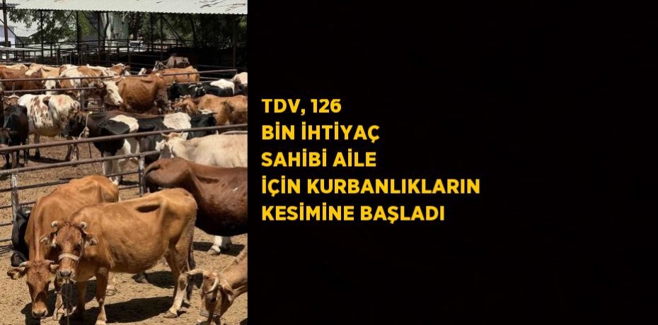 TDV, 126 BİN İHTİYAÇ SAHİBİ AİLE İÇİN KURBANLIKLARIN KESİMİNE BAŞLADI