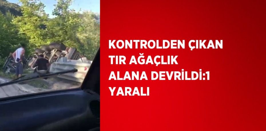 KONTROLDEN ÇIKAN TIR AĞAÇLIK ALANA DEVRİLDİ:1 YARALI