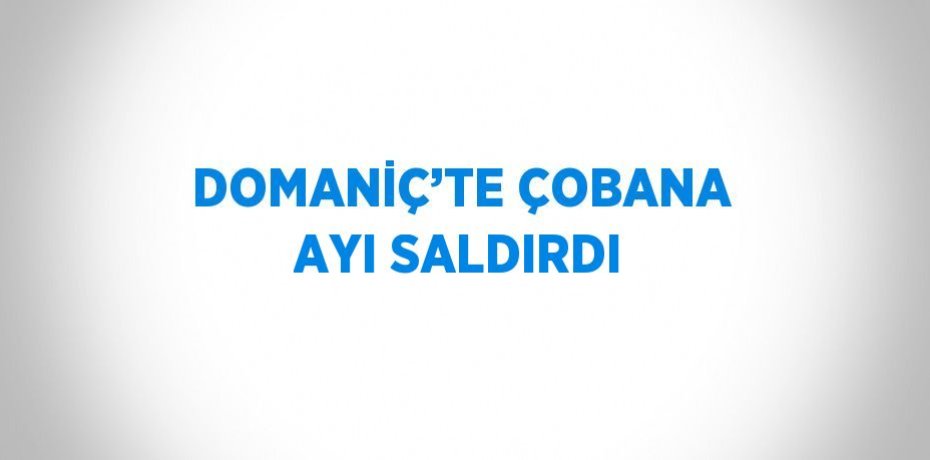 DOMANİÇ’TE ÇOBANA AYI SALDIRDI