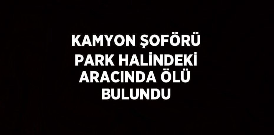 KAMYON ŞOFÖRÜ PARK HALİNDEKİ ARACINDA ÖLÜ BULUNDU