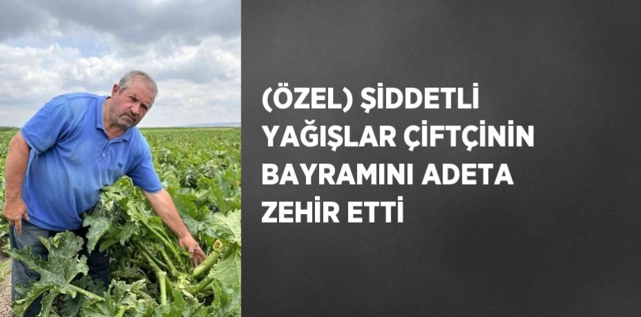 (ÖZEL) ŞİDDETLİ YAĞIŞLAR ÇİFTÇİNİN BAYRAMINI ADETA ZEHİR ETTİ