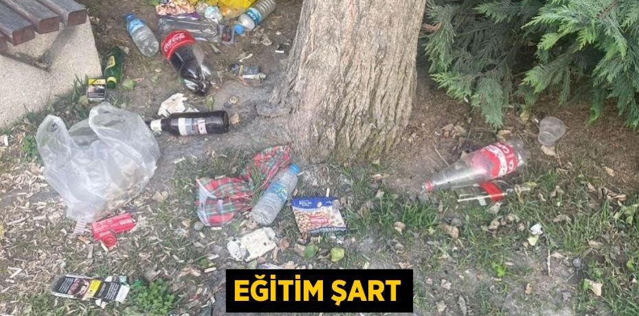 Eğitim şart