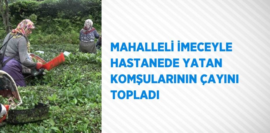 MAHALLELİ İMECEYLE HASTANEDE YATAN KOMŞULARININ ÇAYINI TOPLADI