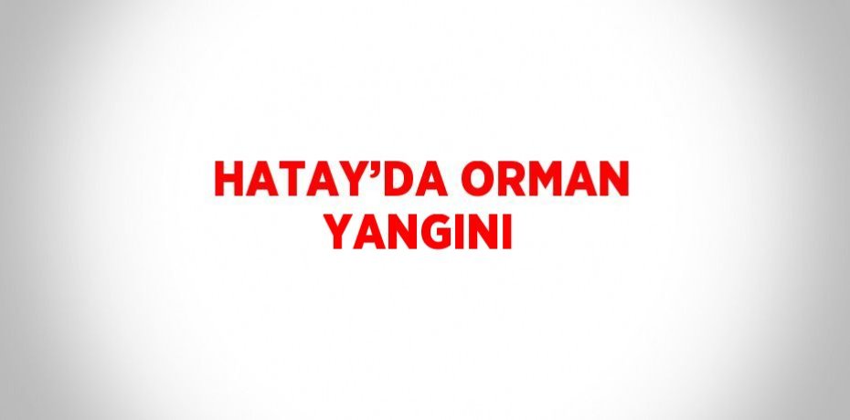 HATAY’DA ORMAN YANGINI