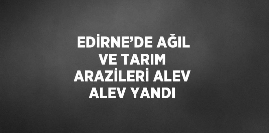 EDİRNE’DE AĞIL VE TARIM ARAZİLERİ ALEV ALEV YANDI