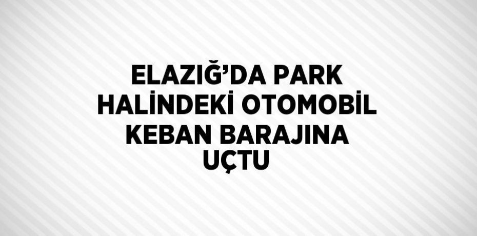 ELAZIĞ’DA PARK HALİNDEKİ OTOMOBİL KEBAN BARAJINA UÇTU