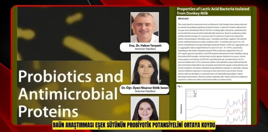 BAÜN ARAŞTIRMASI EŞEK SÜTÜNÜN PROBİYOTİK POTANSİYELİNİ ORTAYA KOYDU