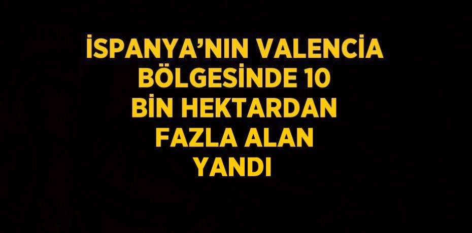 İSPANYA’NIN VALENCİA BÖLGESİNDE 10 BİN HEKTARDAN FAZLA ALAN YANDI
