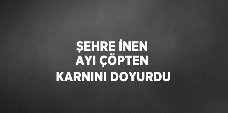 ŞEHRE İNEN AYI ÇÖPTEN KARNINI DOYURDU