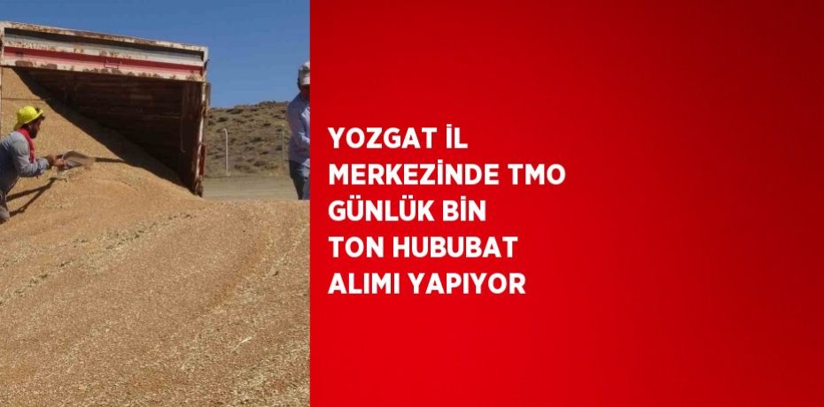 YOZGAT İL MERKEZİNDE TMO GÜNLÜK BİN TON HUBUBAT ALIMI YAPIYOR