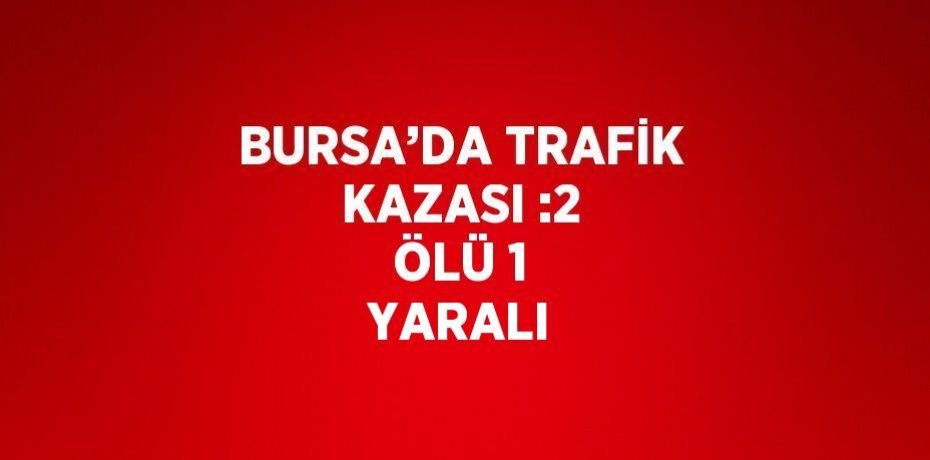 BURSA’DA TRAFİK KAZASI :2 ÖLÜ 1 YARALI