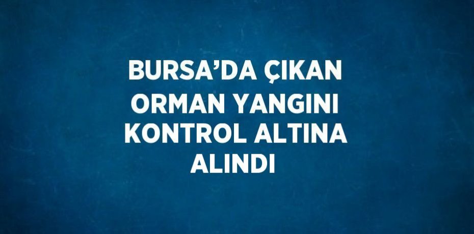 BURSA’DA ÇIKAN ORMAN YANGINI KONTROL ALTINA ALINDI