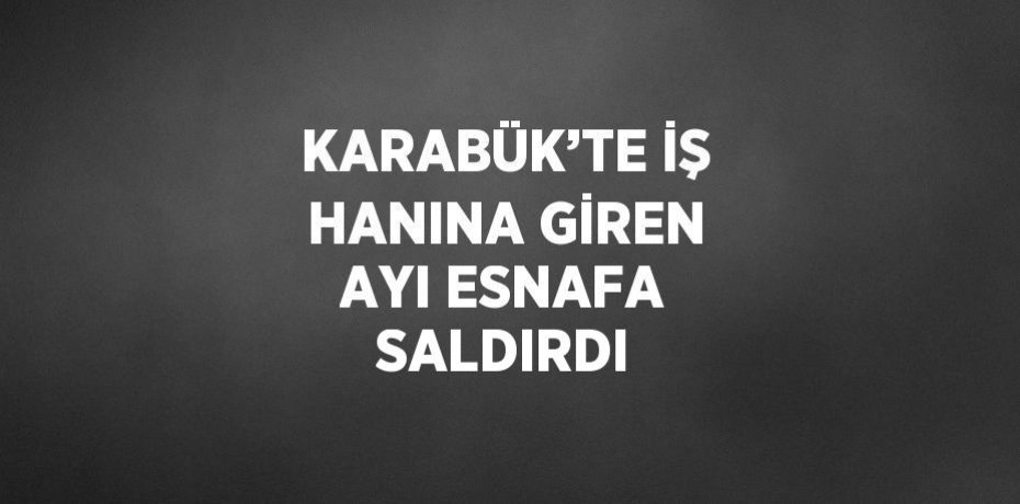 KARABÜK’TE İŞ HANINA GİREN AYI ESNAFA SALDIRDI