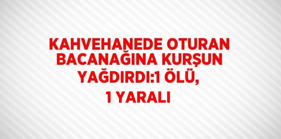 KAHVEHANEDE OTURAN BACANAĞINA KURŞUN YAĞDIRDI:1 ÖLÜ, 1 YARALI