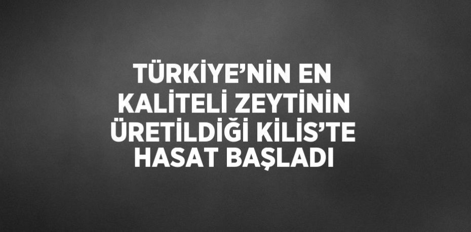 TÜRKİYE’NİN EN KALİTELİ ZEYTİNİN ÜRETİLDİĞİ KİLİS’TE HASAT BAŞLADI