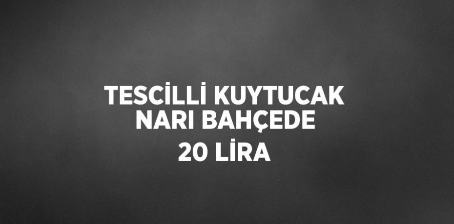TESCİLLİ KUYTUCAK NARI BAHÇEDE 20 LİRA