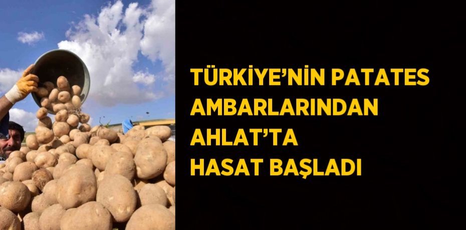 TÜRKİYE’NİN PATATES AMBARLARINDAN AHLAT’TA HASAT BAŞLADI
