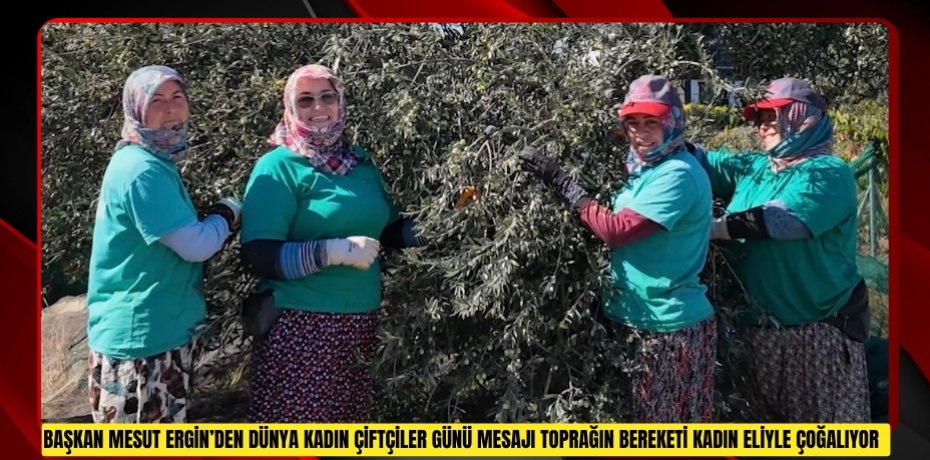 Başkan Mesut Ergin’den Dünya Kadın Çiftçiler Günü mesajı: "Toprağın bereketi kadın eliyle çoğalıyor"  